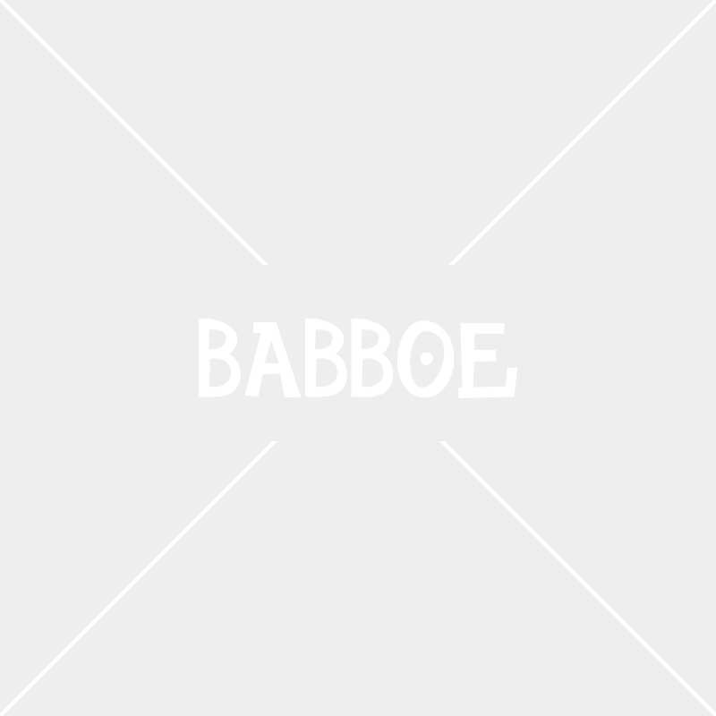 Snoopy Babboe bakfiets