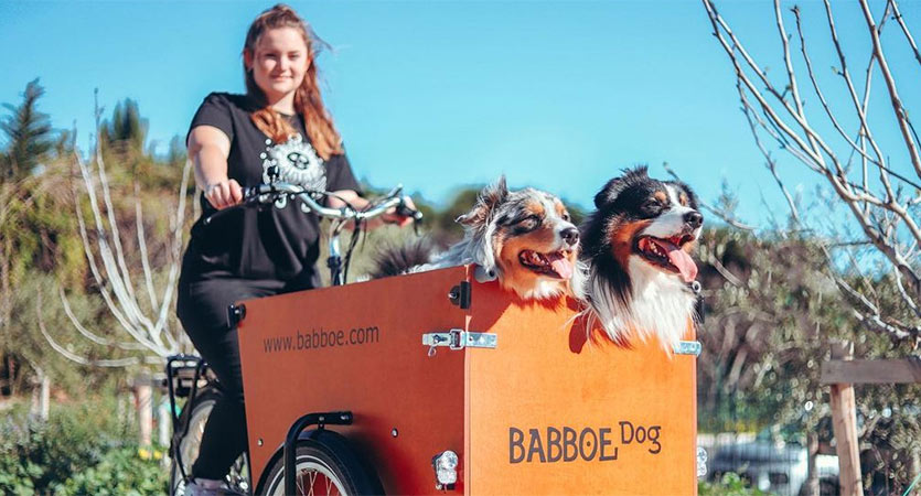 fietsen met je hond op de fiets