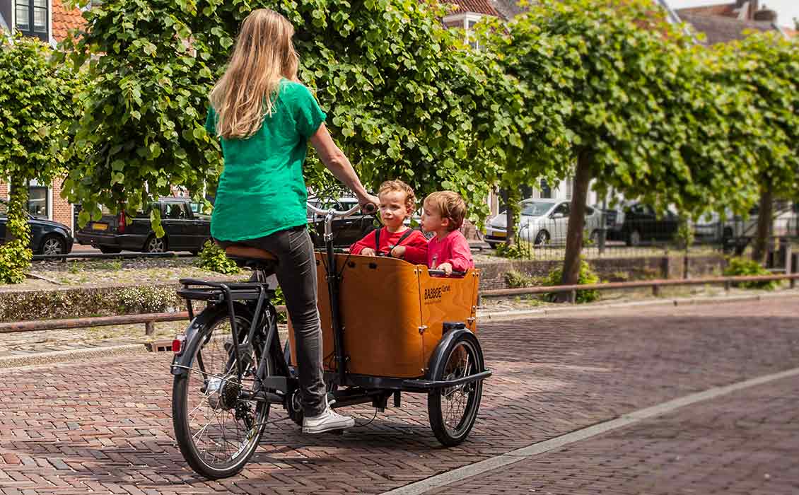 Maximale draagkracht bagagedrager