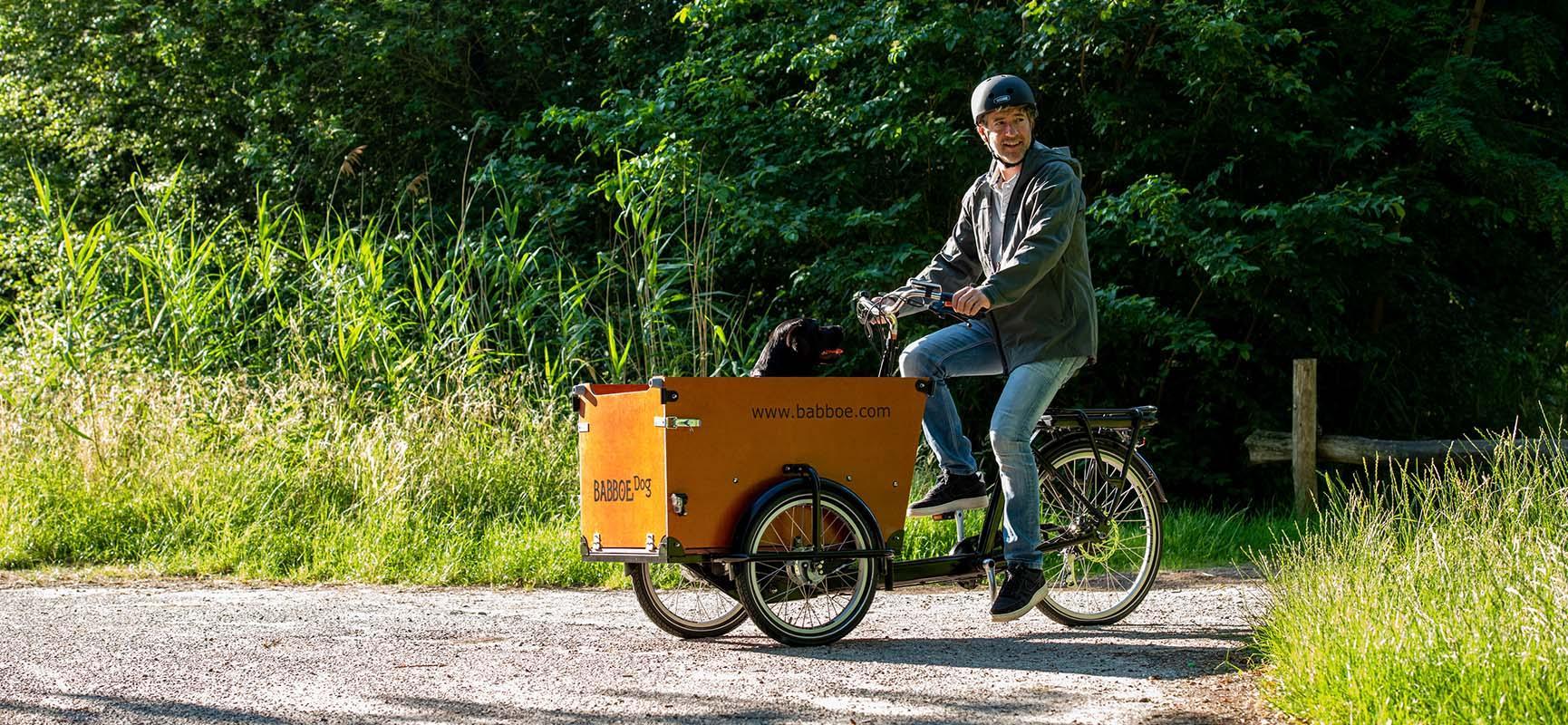 Hond in bakfiets