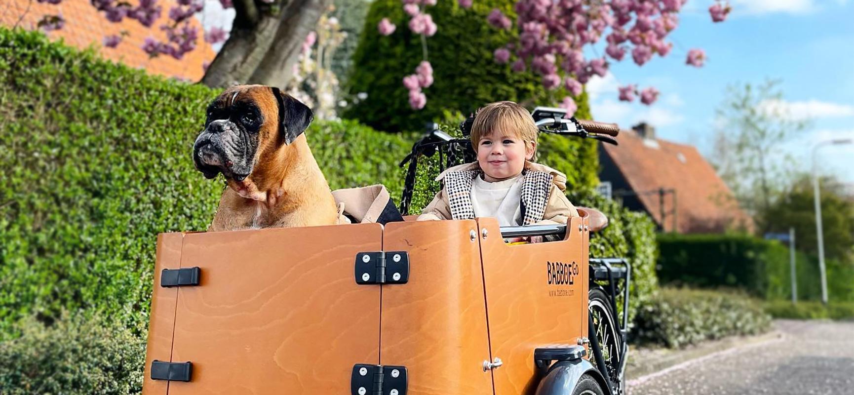 VÃ©lo cargo pour chien 