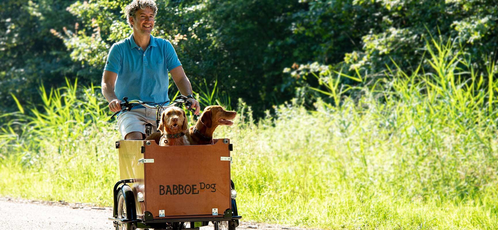 Fietsen met je hond is een feestje