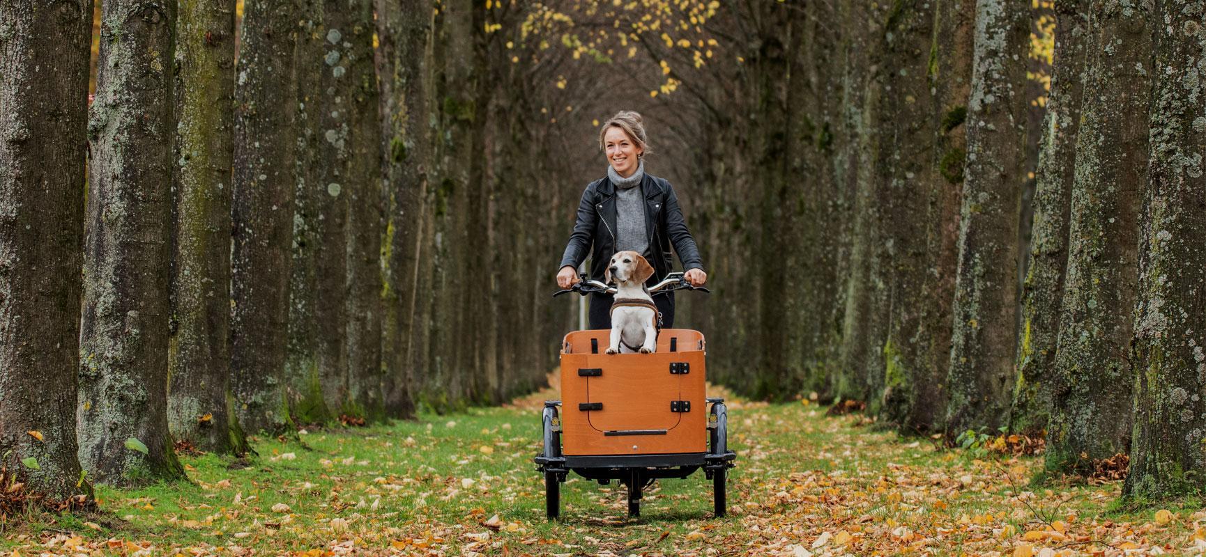 Wat moet ik weten voordat ik een hondenbakfiets ga kopen?