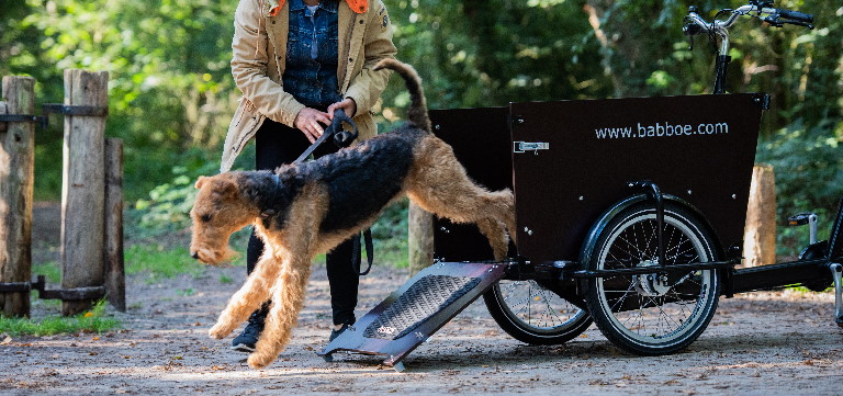 bakfiets kiezen voor honden