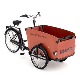draai verzending Normaal Babboe Big driewieler: bakfiets voor 1-4 kinderen | Babboe