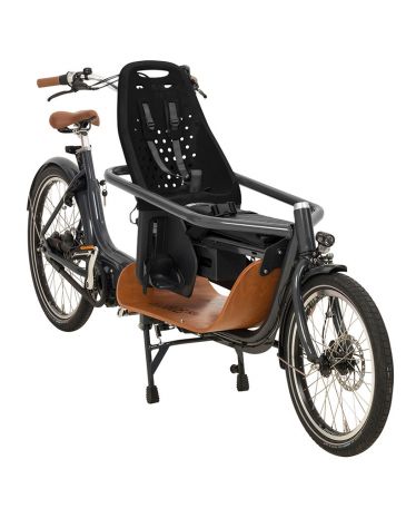 Thule Yepp siÃ¨ge de vÃ©lo Maxi Easyfit noir