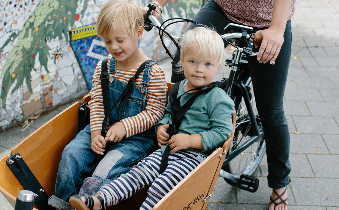 Compacte bakfiets Compacte bakfiets